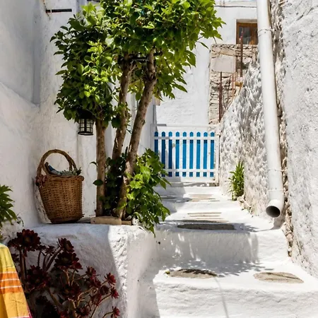 The Aegean Eleutheria-tinos Tatil Evi